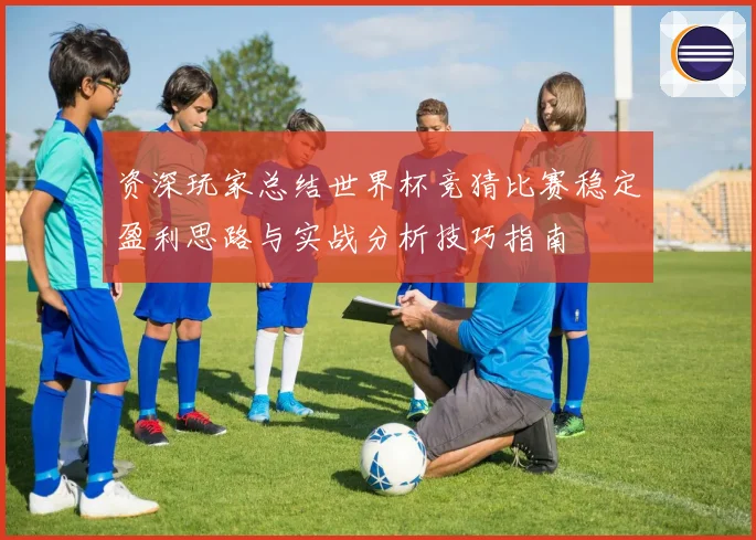 资深玩家总结世界杯竞猜比赛稳定盈利思路与实战分析技巧指南 ⚽