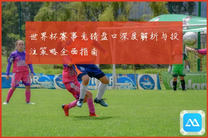 世界杯赛事竞猜盘口深度解析与投注策略全面指南