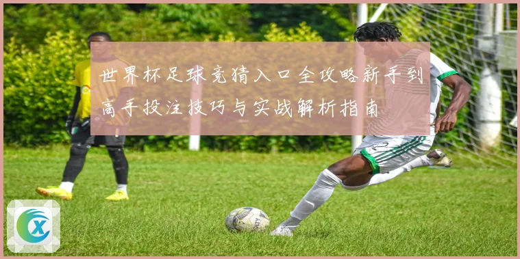 世界杯足球竞猜入口全攻略新手到高手投注技巧与实战解析指南