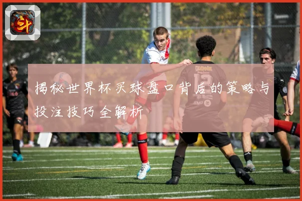 揭秘世界杯买球盘口背后的策略与投注技巧全解析