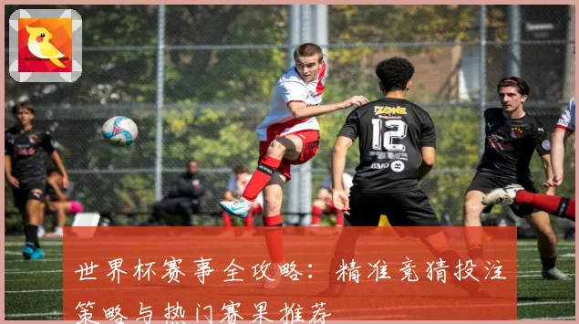 世界杯赛事全攻略：精准竞猜投注策略与热门赛果推荐